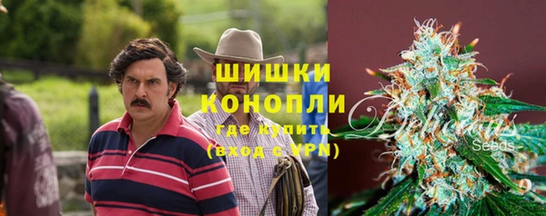 гашик Володарск