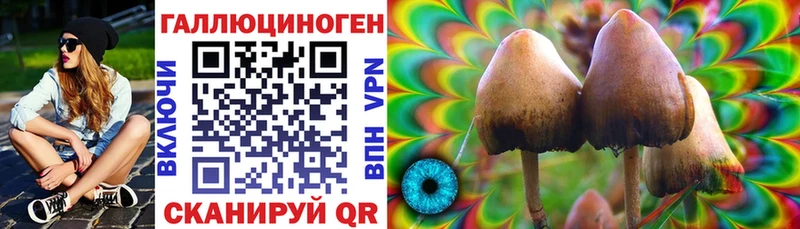 наркотики  Зеленогорск  Галлюциногенные грибы GOLDEN TEACHER 